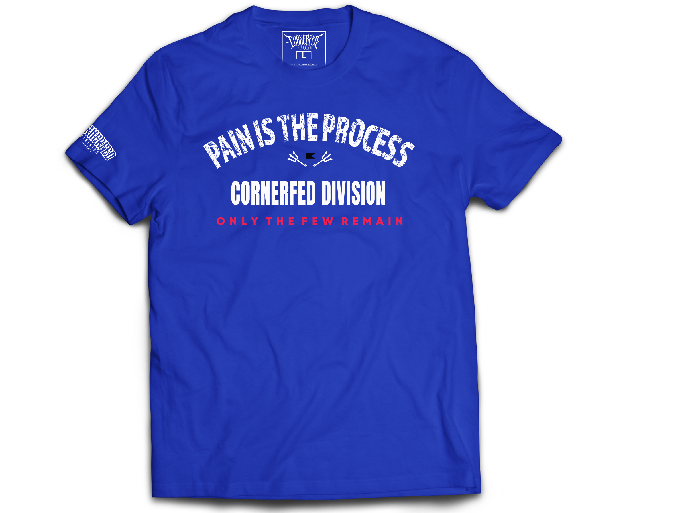 PAIN IS THE PROCESS - Graphic Tee  image 0