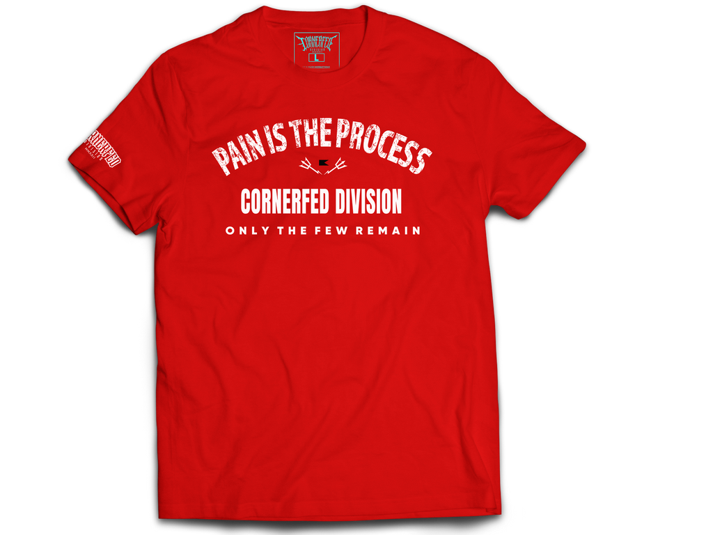 PAIN IS THE PROCESS - Graphic Tee  image 2
