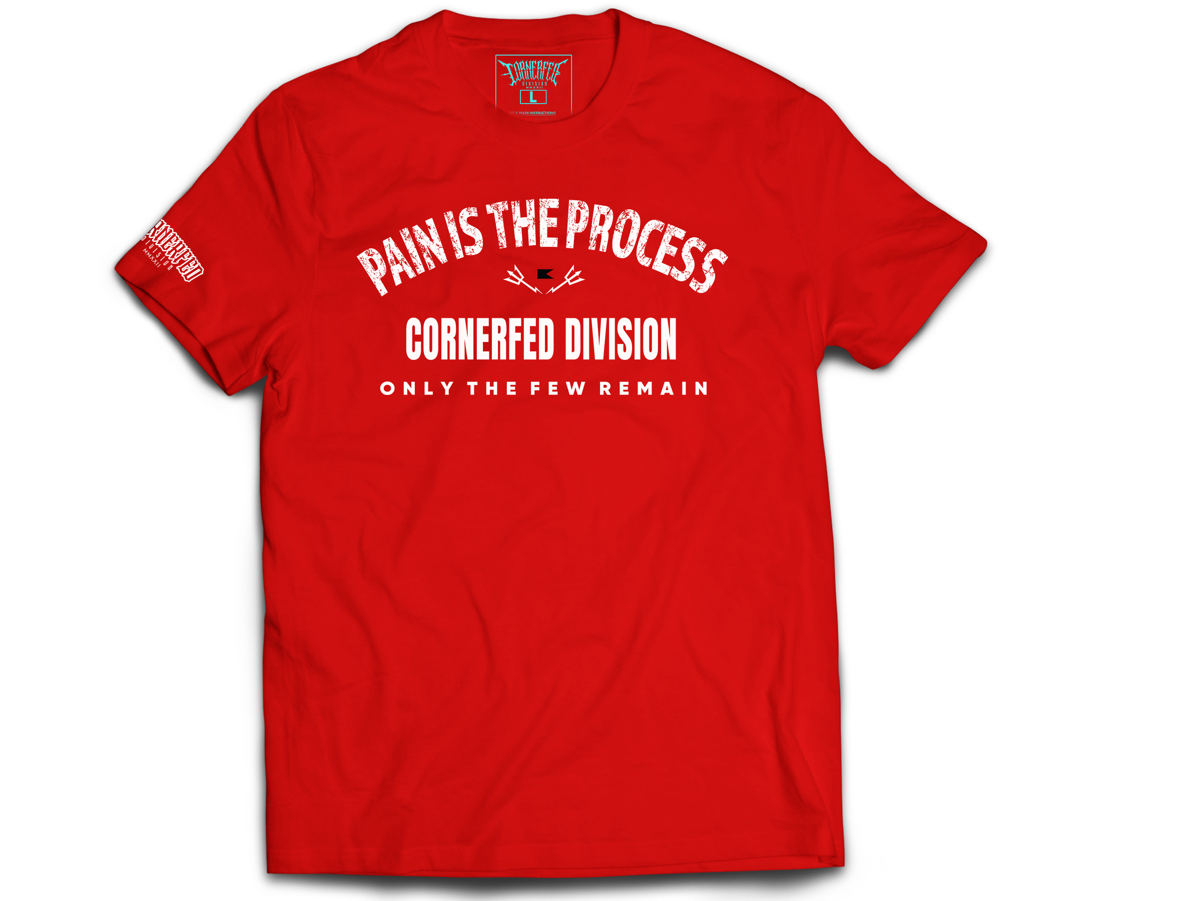 PAIN IS THE PROCESS - Graphic Tee  image 2
